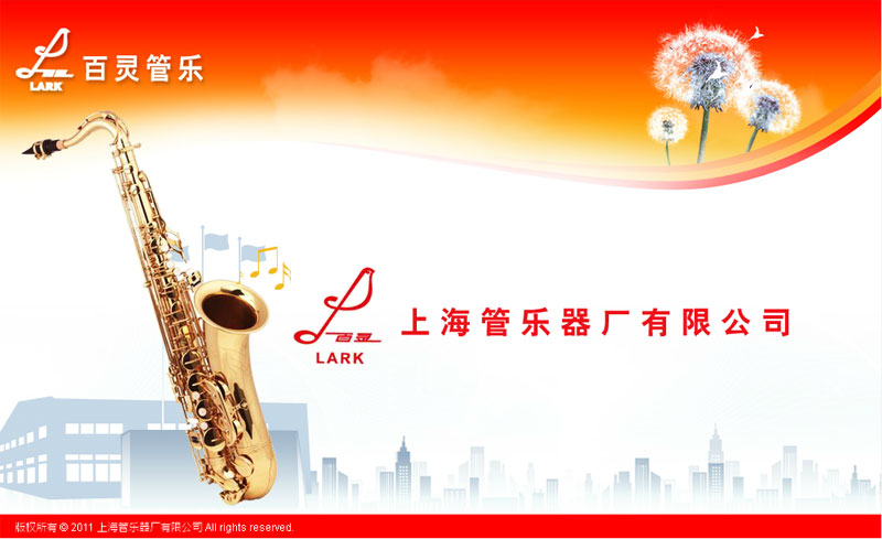上海管樂器廠上海網(wǎng)站建設(shè)
