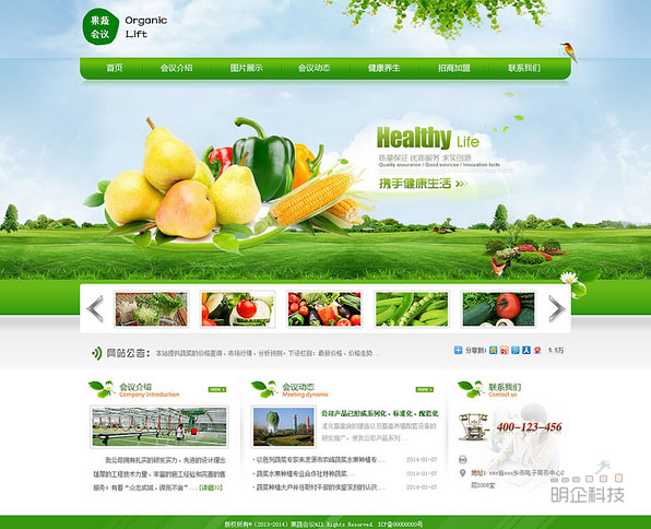 上海高端網站建設
