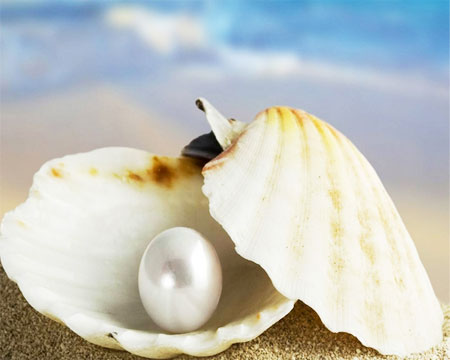 購物網(wǎng)站開發(fā) 購物網(wǎng)站開發(fā)