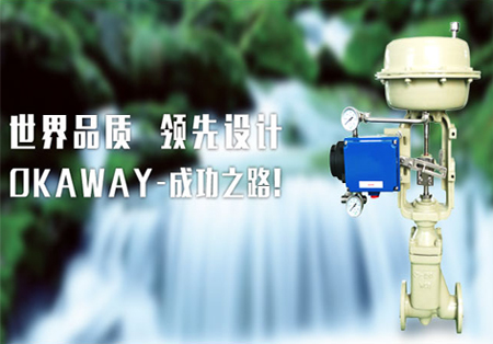 奧卡威網站建設