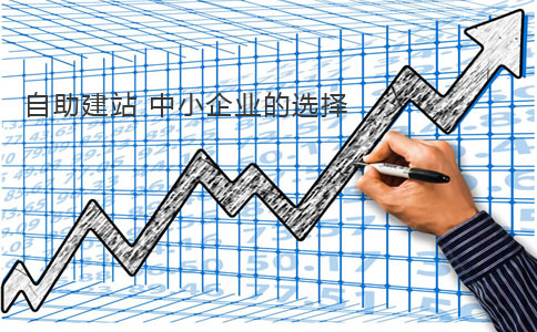 自助建站行業分析 自助建站行業分析