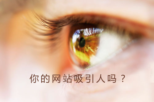 網站制作公司讓你的網站更加吸引用戶