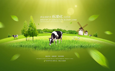 上海網站制作公司引導頁制作方法 上海網站制作公司引導頁制作方法